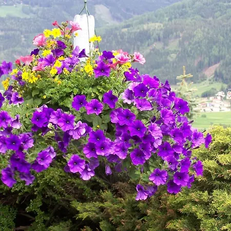 Appartamento Haus Leitgeb Telfes im Stubai